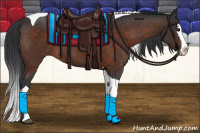 Horse Color:Brown Splash Tobiano 