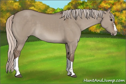 Horse Color:Silver Grullo Sabino Splash Tobiano 