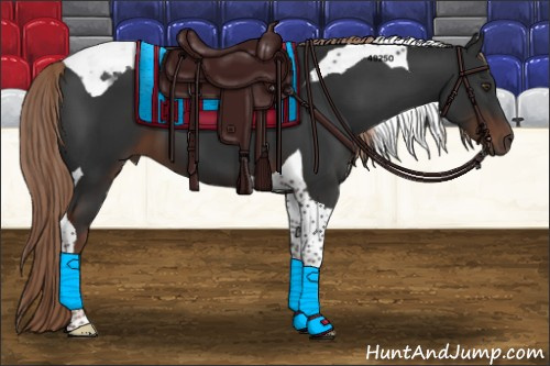 Horse Color:Liver Chestnut Tobiano 