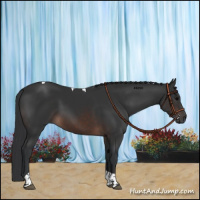Horse Color:Brown Tobiano 