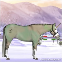 Horse Color:Smoky Grullo Splash