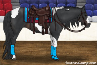 Horse Color:Brown Tobiano 