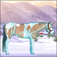 Horse Color:Thunderstruck Bay Dun Splash Tobiano 