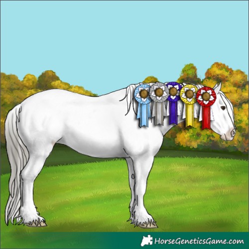 Horse Color:White Spotted Liver Chestnut Mushroom Snowflake Varnish