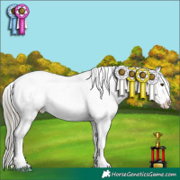 Horse Color:White Spotted Liver Chestnut Mushroom Sabino Appaloosa 