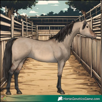 Horse Color:Brown Dun 