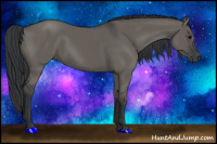 Horse Color:Grullo Sabino Rabicano 