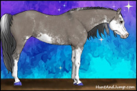 Horse Color:Grullo Sabino Rabicano 