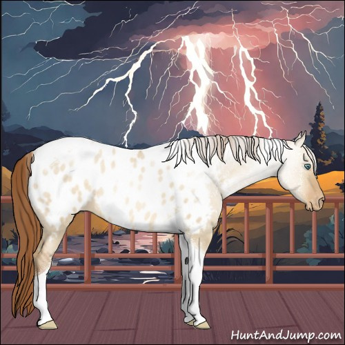 Horse Color:Smoky Grullo Pearl Sabino Tobiano Appaloosa Rabicano