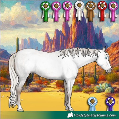 Horse Color:Gray Silver Smoky Blue Roan Pearl Sabino 