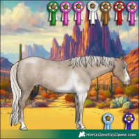 Horse Color:Gray Silver Smoky Blue Roan Pearl Sabino 