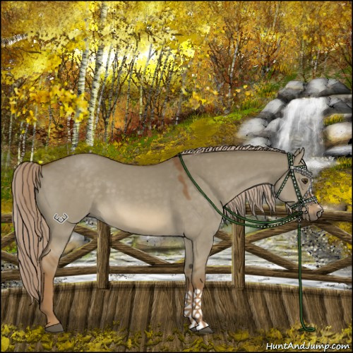 Horse Color:Chocolate Palomino Dun 