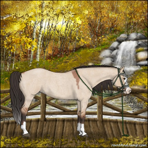 Horse Color:Bay Roan Dun Splash 