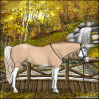 Horse Color:Gold Champagne Splash 