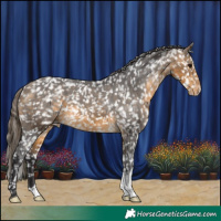 Horse Color:Buckskin Snowflake Varnish