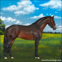 Horse Color:Brown 