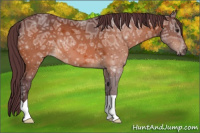 Horse Color:Chocolate Brown Ice 