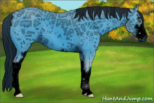 Horse Color:ERROR: UNKNOWN ANOMALY