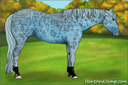 Horse Color:ERROR: UNKNOWN ANOMALY