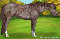 Horse Color:Chocolate Black Ice