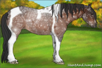 Horse Color:Bay Ice Tobiano