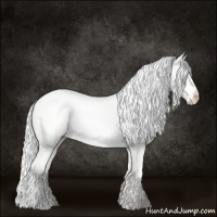 Horse Color:Silver Perlino Dun 