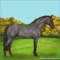 Horse Color:Smoky Blue Roan 