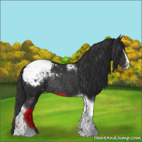 Horse Color:Platinum Liver Chestnut Sabino Tobiano Snowcap Rabicano 