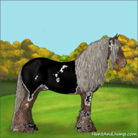 Horse Color:Liver Chestnut Mushroom Tobiano Appaloosa