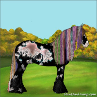 Horse Color:Painted White Spotted Liver Chestnut Tobiano Appaloosa