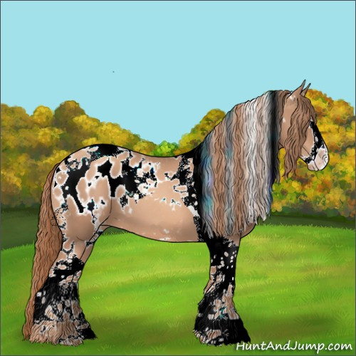 Horse Color:White Spotted Gold Champagne Splash Tobiano Appaloosa 