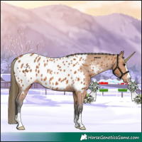 Horse Color:Bay Near Leopard Rabicano 