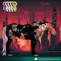 Horse Color:Gray Painted White Spotted Silver Black Tobiano