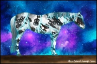 Horse Color:Thunderstruck White Spotted Brown Ice