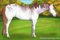 Horse Color:Painted White Spotted Red Onyx Ice Appaloosa 