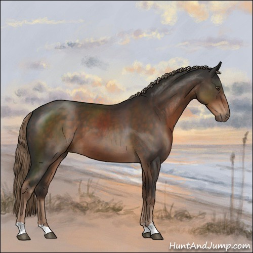 Horse Color:Liver Chestnut Sabino