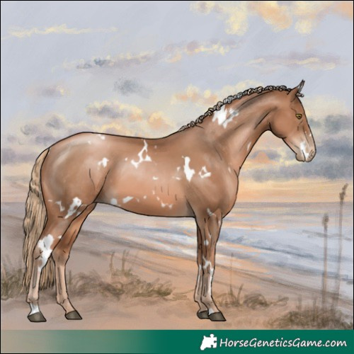 Horse Color:White Spotted Liver Chestnut Pearl 