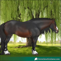 Horse Color:Brown 