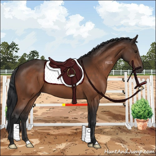 Horse Color:Brown 