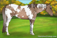 Horse Color:White Spotted Black Pearl Varnish