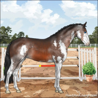 Horse Color:Brown Splash 