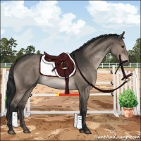 Horse Color:Brown Dun 