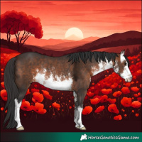 Horse Color:White Spotted Bay Rabicano