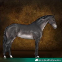 Horse Color:Platinum Brown 