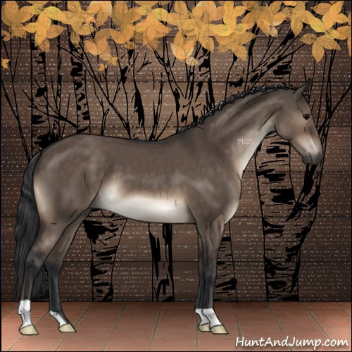 Horse Color:Brown Dun 