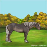 Horse Color:Silver Black Rabicano