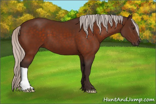 Horse Color:Silver Brown