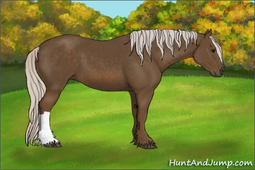 Horse Color:Silver Smoky Black