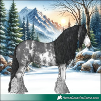 Horse Color:Black Sabino