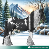 Horse Color:White Spotted Black Tobiano 